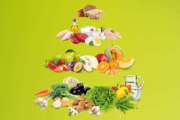 Einfach vielfältig – DOs und DON’Ts in der Sanguinum Stoffwechselkur 5 Die Sanguinum Ernährungspyramide