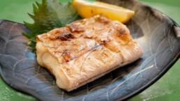 sanguinum_blog_know-how_postings_fischtage 1 Fischtage zum schnelleren Abnehmen in der Sanguinum Stoffwechselkur?