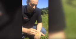 Wildkräuter-Smoothie von Ralf und Marius 1 Ralf und Marius sammeln frische Wildkräuter für einen köstlichen Sanguinum Smoothie