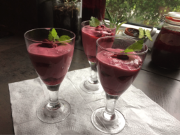 Himbeerdessert 1 Sanguinum Rezeptidee von Sanguinum Therapeutin Anja Joensson: Das leckere Himbeerdessert