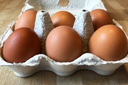 Sind Eier ungesund? 3 Sind Eier ungesund?