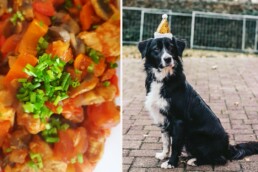Sophia: In den ersten 3 Wochen 5 kg abgenommen 6 abnehmen essen hund