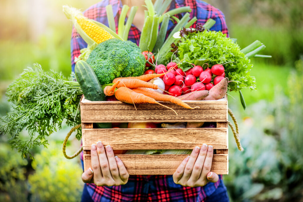 Immunsystem stärken durch Obst und Gemüse