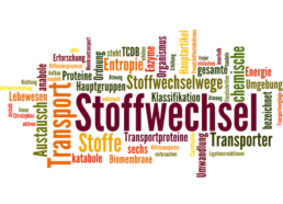 Was versteht man eigentlich unter Stoffwechsel? 1 Stoffwechsel Cloud
